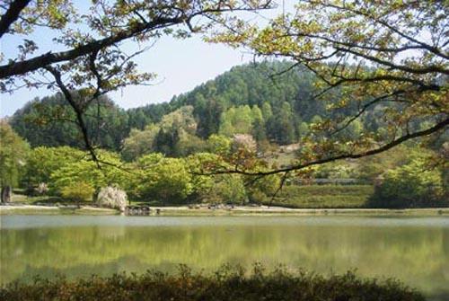 Seishokan Higashine 외부 사진